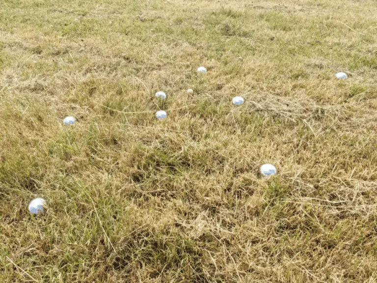 Boules Lawn Game Hire Cornwall
