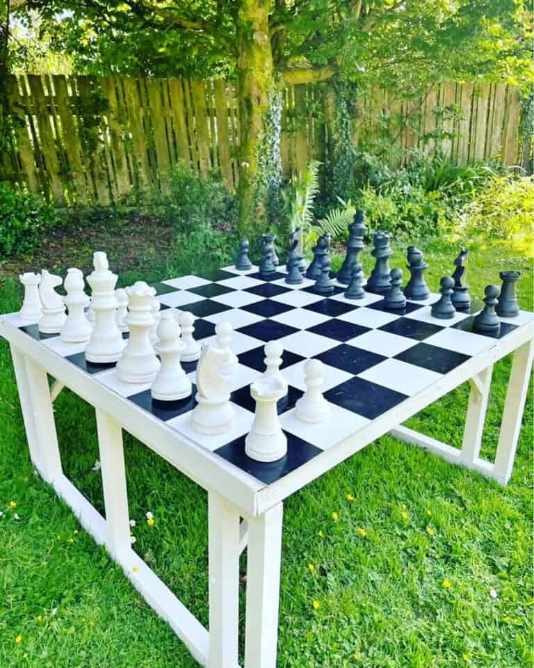 Chess Cornwall Hire